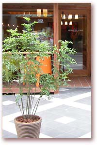 「ランチメニュー」表紙